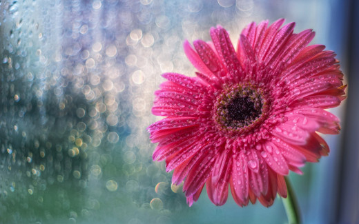 1667731 (a): :2560x1600
